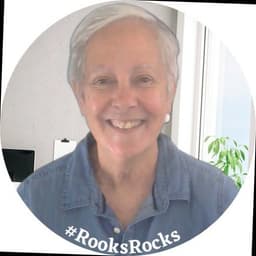 Susan Rooks Instagram 🟦 Susan Rooks 📚 The Grammar Goddess - LinkedIn Performance Score by Taplio